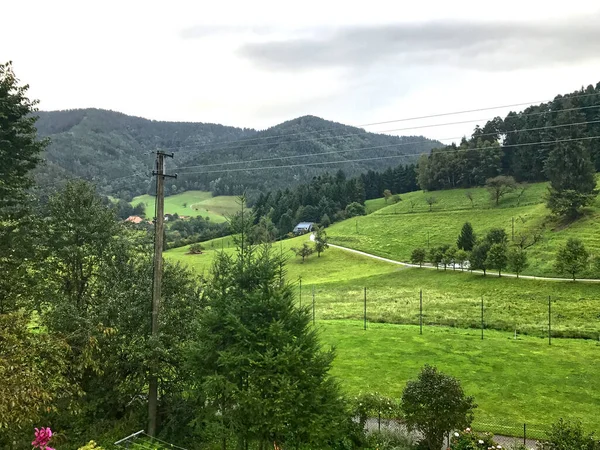 Uma Cena Rural Com Paisagens Verdes Árvores Pitorescas Exuberantes — Fotografia de Stock