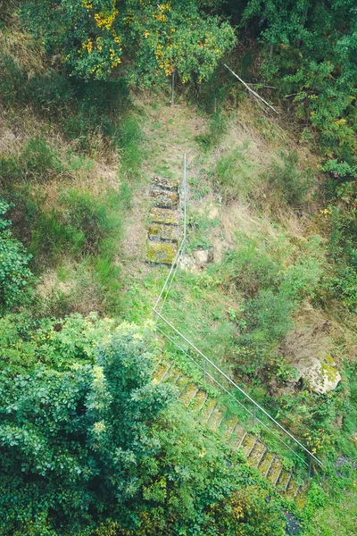 Uma Vista Aérea Belo Caminho Florestal Com Uma Longa Escadaria — Fotografia de Stock