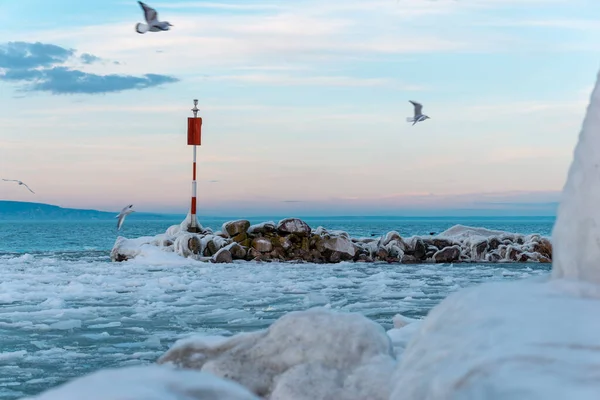 Gyönyörű Kép Balatonról Télen Repülő Madarakkal — Stock Fotó