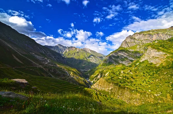 Vistas Hipnotizantes Das Paisagens Verdes Contra Céu Nublado Primavera — Fotografia de Stock