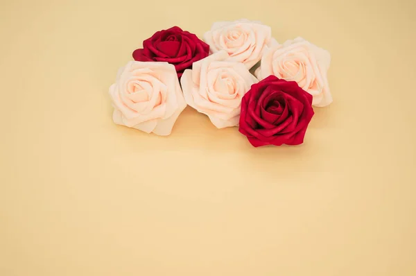 一张红白相间的玫瑰头像的特写照片 背景浅色 有彩色色彩 — 图库照片