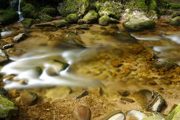 德国黑森林里一条小河的美丽风景 — 图库照片