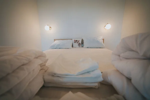 Ein King Size Bett Mit Weißen Laken Und Einem Niedlichen — Stockfoto