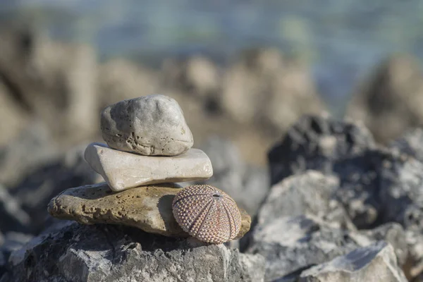 海滩上有海胆壳的放松石头的美丽景色 — 图库照片