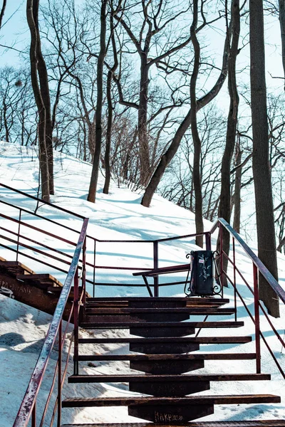 Μια Κάθετη Βολή Μιας Σκάλας Ένα Πάρκο Καλυμμένο Χιόνι — Φωτογραφία Αρχείου