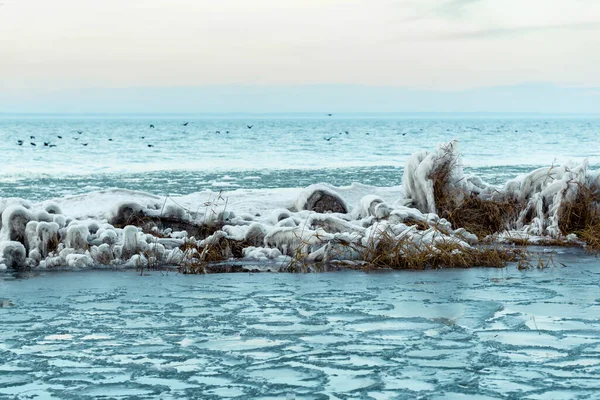 Una Hermosa Toma Del Lago Balaton Hungría Durante Invierno Con —  Fotos de Stock