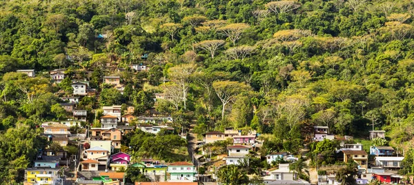 Plano Una Colina Con Casas Bosque —  Fotos de Stock