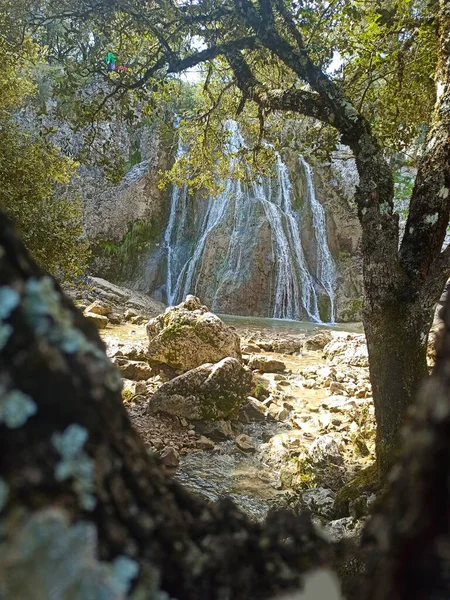 Okouzlující Pohled Vodopád Stromy Popředí — Stock fotografie