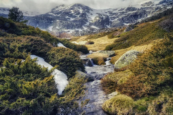 Прекрасний Вид Гірський Пейзаж Річкою Кущами Скелями Вкритими Мохом — стокове фото
