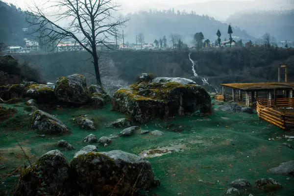 Hermoso Paisaje Una Zona Verde Con Piedras Musgosas — Foto de Stock