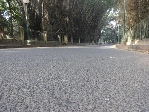 Closeup Shot Empty Pathway Park India — Stock Photo, Image