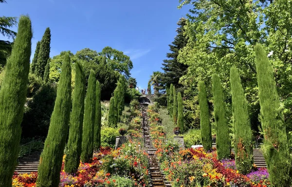 Escalier Fleur Eau Sur Île Fleurie Mainau Dans Lac Constance — Photo