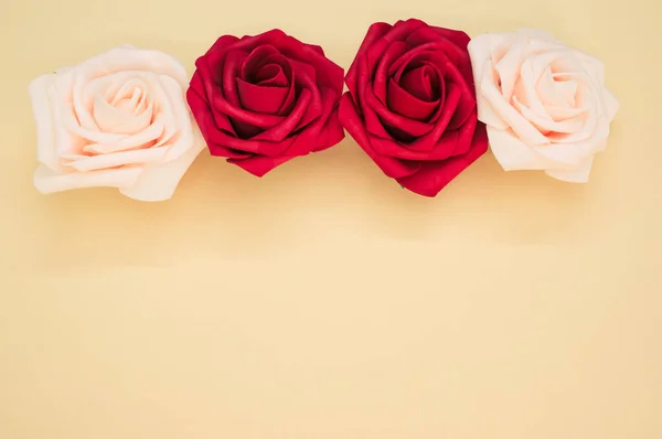 一张红白相间的玫瑰头像的特写照片 背景浅色 有彩色色彩 — 图库照片