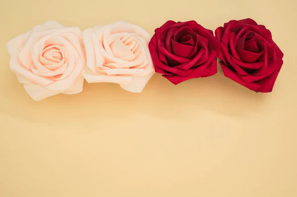 一张红白相间的玫瑰头像的特写照片 背景是浅色的 有彩色的空间 — 图库照片