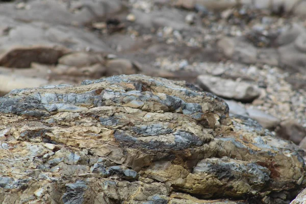 Selective Focus Shot Huge Stone Texture — Stock Photo, Image