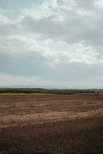 曇り空の下で農地と美しい風景の垂直ショット — ストック写真