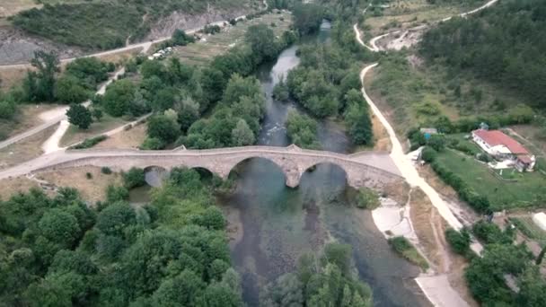 Luftaufnahme Der Alten Steinbrücke Über Den Fluss Mit Bäumen Navarra — Stockvideo