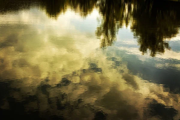 Closeup Shot Blue Sky Tree Reflections Lake Surface — Stock Photo, Image