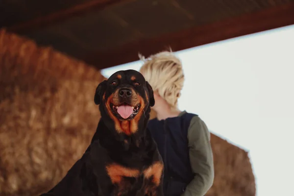 Närbild Inhemsk Rottweiler Hund Gården Med Blond Vit Unge — Stockfoto