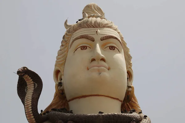 Eine Nahaufnahme Der Buddha Statue Nageshwar Shiva Tempel Goriyali Indien — Stockfoto