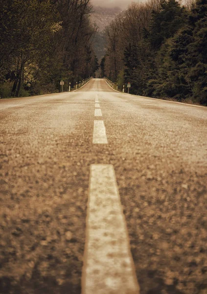 Tiro Vertical Uma Estrada Asfalto Com Sinais Aviso Fundo Paisagem — Fotografia de Stock