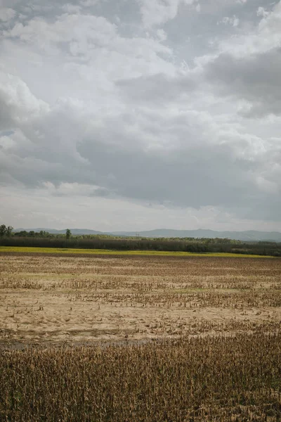 Pionowe Ujęcie Pięknego Krajobrazu Ziemią Uprawną Pod Zachmurzonym Niebem — Zdjęcie stockowe