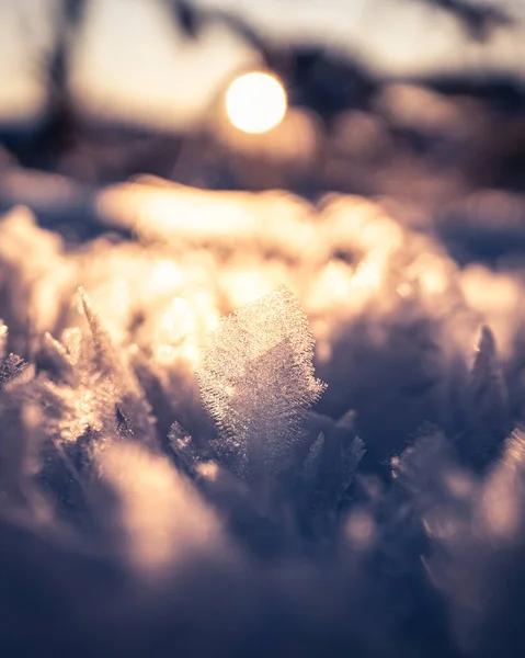 Detailní Záběr Sněhových Krystalů Rozmazaném Slunečním Pozadí — Stock fotografie