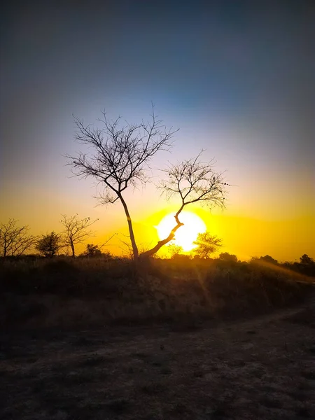 Una Toma Vertical Puesta Sol Con Hermosos Colores Siluetas Dos —  Fotos de Stock