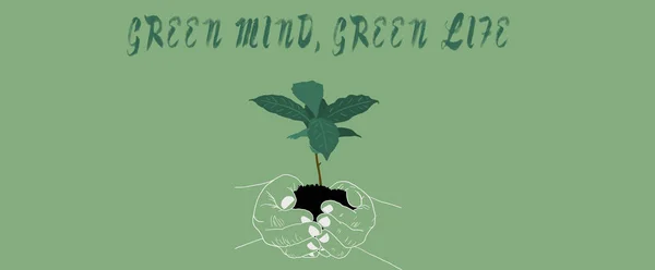 Иллюстрация Руки Держащей Растение Зеленым Зеленый Живой Написано Сверху — стоковое фото