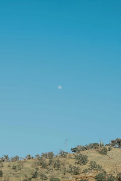 Vertikální Záběr Měsíce Modré Obloze Pod Stromy Kopcovitém Terénu — Stock fotografie