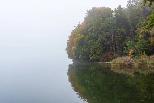 Primer Plano Bosque Reflejado Lago Claro — Foto de Stock