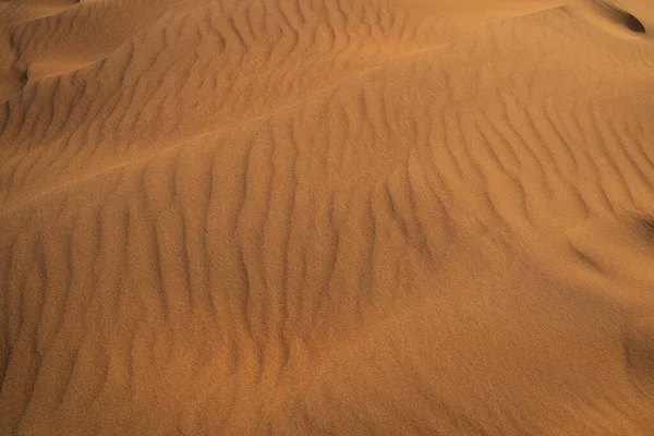 Beau Paysage Dunes Désertiques Coucher Soleil — Photo