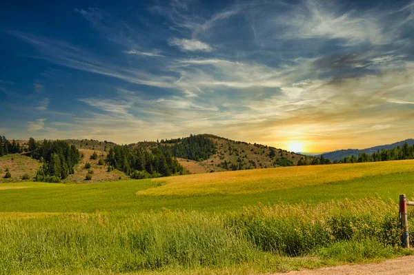 Ein Schöner Blick Auf Den Goldenen Abendhimmel Über Den Gelben — Stockfoto