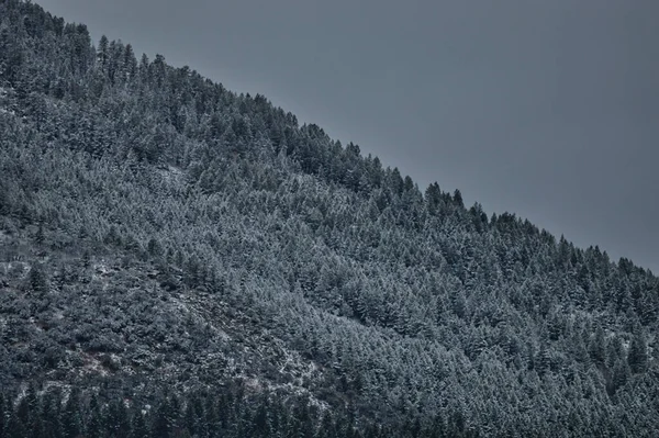 Der Verschneite Bewaldete Berg Einem Düsteren Bewölkten Tag — Stockfoto