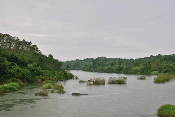 Nahaufnahme Eines Flusses Inmitten Von Wäldern Unter Wolkenverhangenem Himmel — Stockfoto