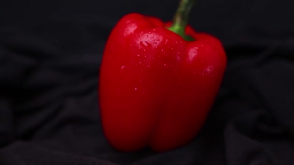 Red Black Pepper Dark Background — Stock Video