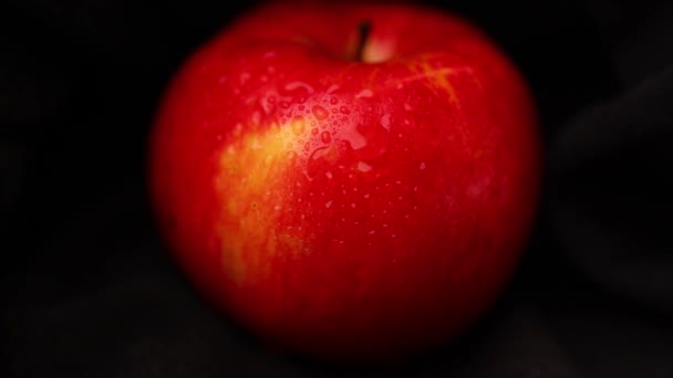 Manzanas Rojas Maduras Frescas Sobre Fondo Negro — Vídeo de stock