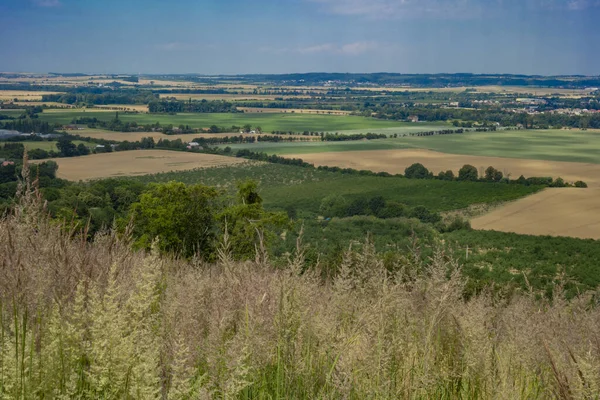 Una Vista Zona Rural Con Fiel Verde Amarillo — Foto de Stock