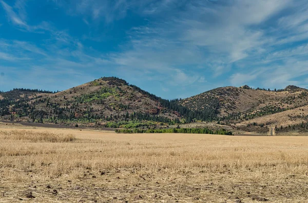 Eine Gelbe Wiese Mit Hügeln Hintergrund Unter Blauem Himmel — Stockfoto