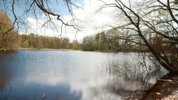 Vista Pitoresca Lago Floresta Infinita Dia Ensolarado Lapso Tempo — Vídeo de Stock