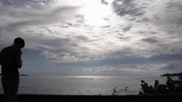 Beautiful Seascape Silhouette Male Flying Birds Cloudy Sky — Stock video