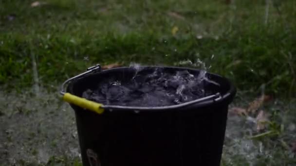 Rendering Rainwater Poured Bucket — Wideo stockowe