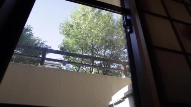 Widok Okna Drzewa — Wideo stockowe