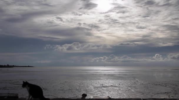 Vista Das Nuvens Sobre Lago Sol Está Nublado — Vídeo de Stock