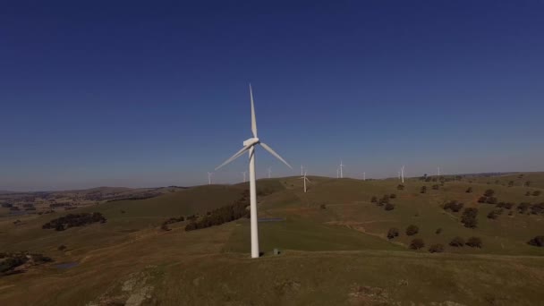 Turbinas Eólicas Campo — Vídeo de Stock