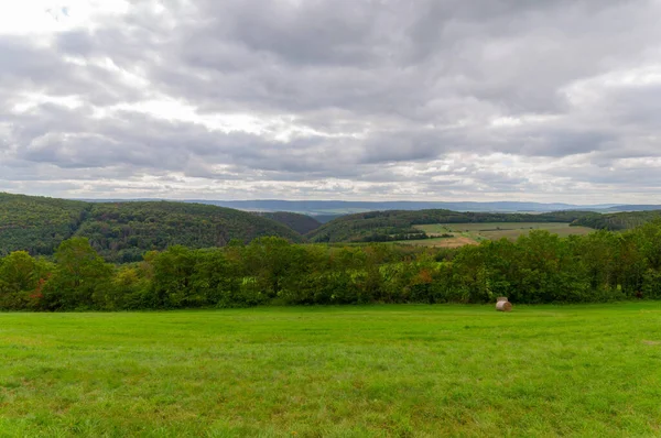 背景には曇り空の広大な緑の土地のショット — ストック写真