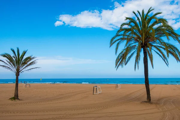 Natural View Palm Trees Sandy Beach Blue Sky — Stock Photo, Image