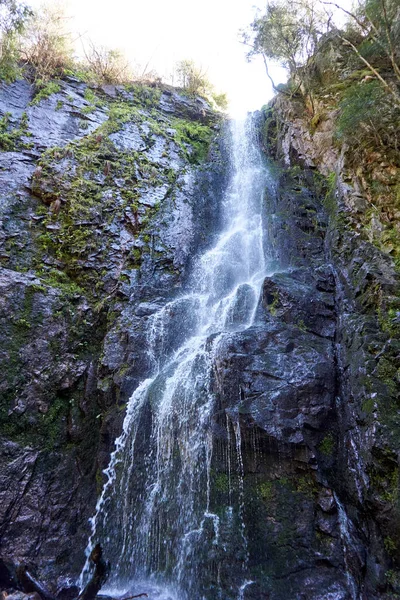 Uma Foto Vertical Cachoeira Burgbach Floresta Negra Alemanha — Fotografia de Stock
