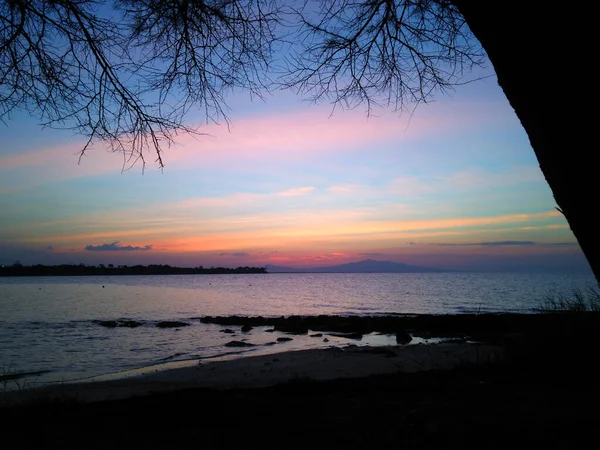 Colorful Sunset Beach Tree Silhouette Foreground — Stock Photo, Image