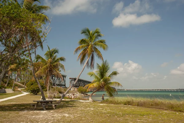 Florida Verenigde Staten Apr 2011 Palmbomen Turquoise Zee Oude Snelweg — Stockfoto